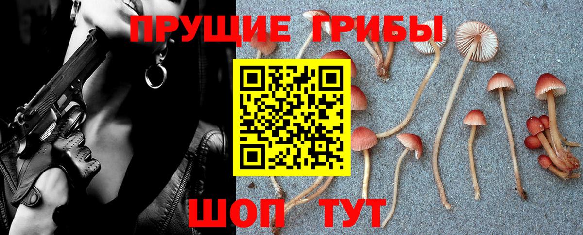 Псилоцибиновые грибы Psilocybe  Галлюциногенные грибы Psilocybe  Вход с VPN  Златоуст 
