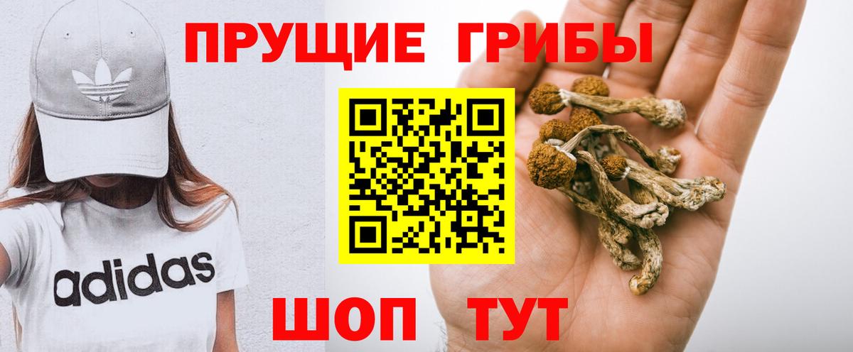 Галлюциногенные грибы Magic Shrooms Златоуст